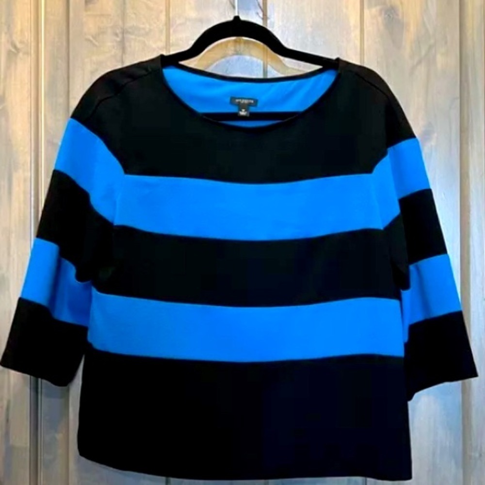 Ann Taylor- Women's Black and Blue Striped Blouse